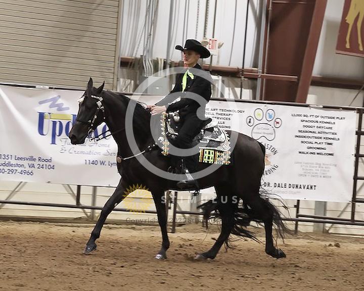 85. Youth Pleasure Stake:Class-850004s0010IMG3465.jpg