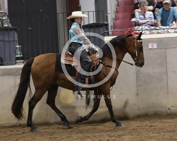 85. Youth Pleasure Stake:Class-850004s0011IMG3468.jpg