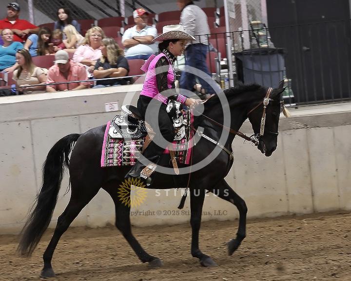 85. Youth Pleasure Stake:Class-850004s0013IMG3478.jpg