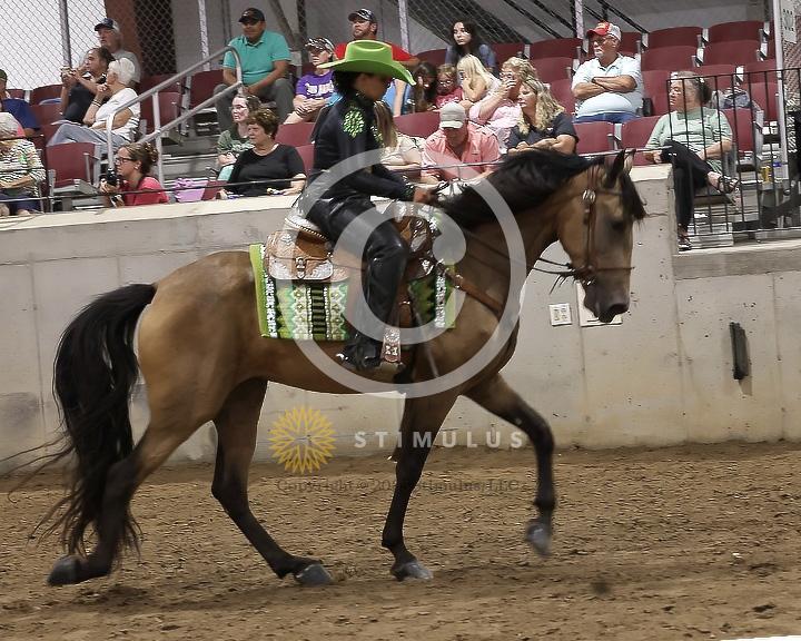 85. Youth Pleasure Stake:Class-850004s0015IMG3490.jpg