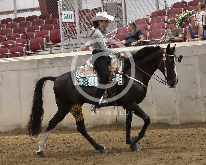 85. Youth Pleasure Stake:Class-850004s0020IMG3508.jpg