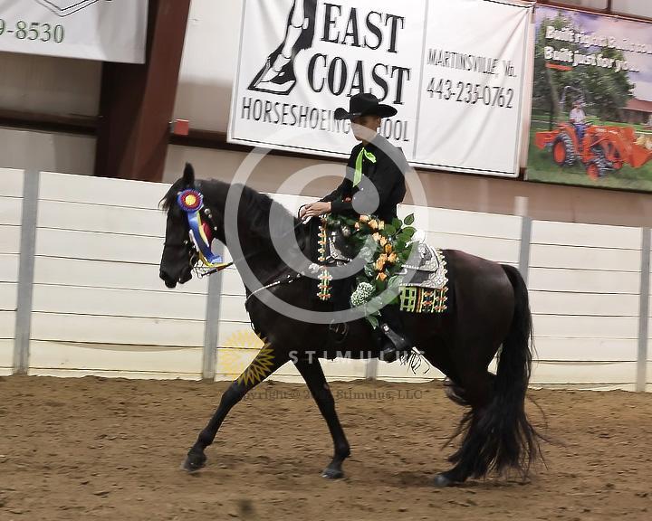 85. Youth Pleasure Stake