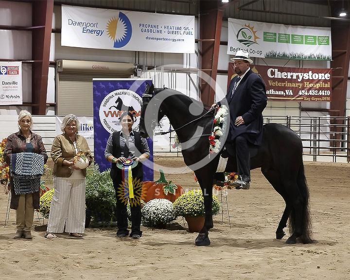 84. Racking Horse Stake:Class-840005s0002IMG3391.jpg