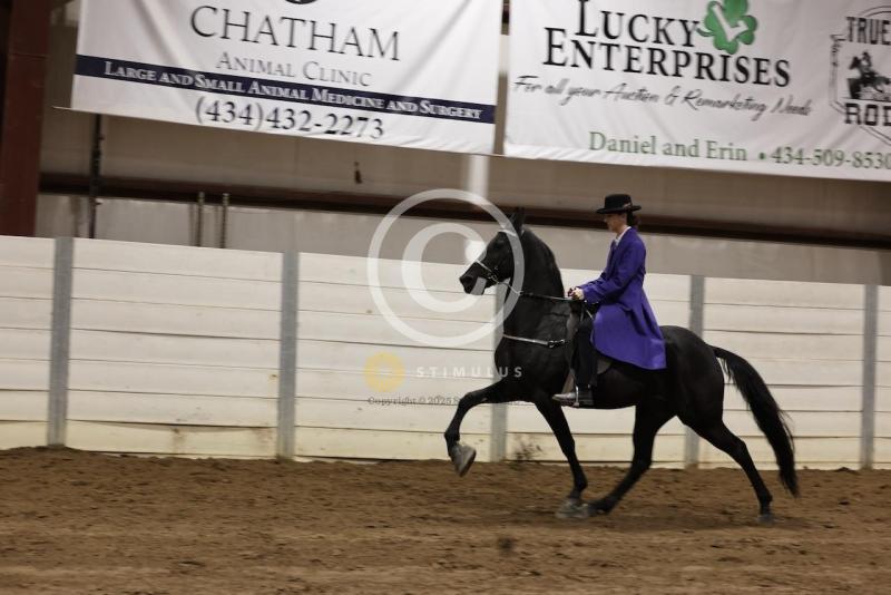 84. Racking Horse Stake:IMG3322.jpeg