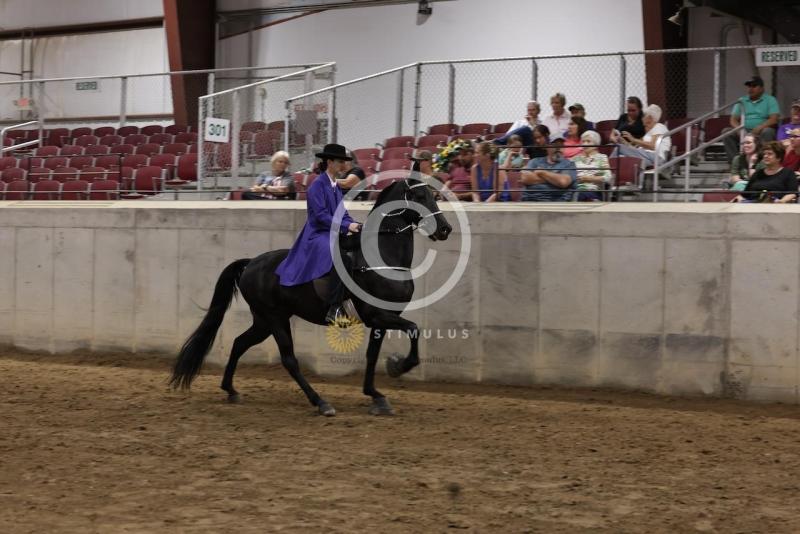 84. Racking Horse Stake:IMG3353.jpeg