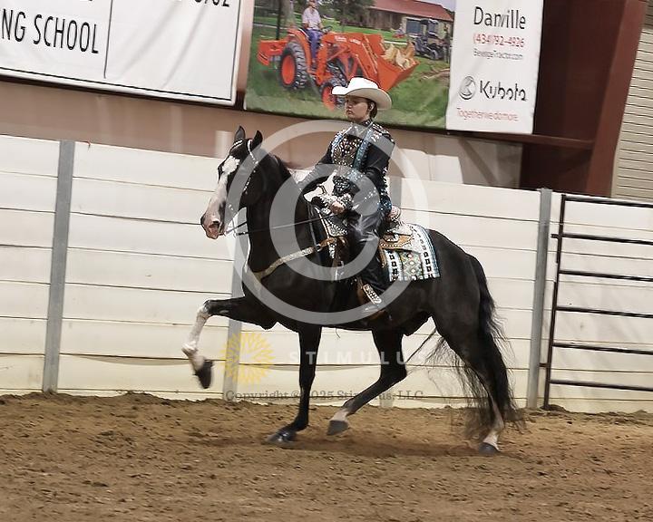 83. SSH Open Shod Stake:Class-830000s0001IMG3266.jpg