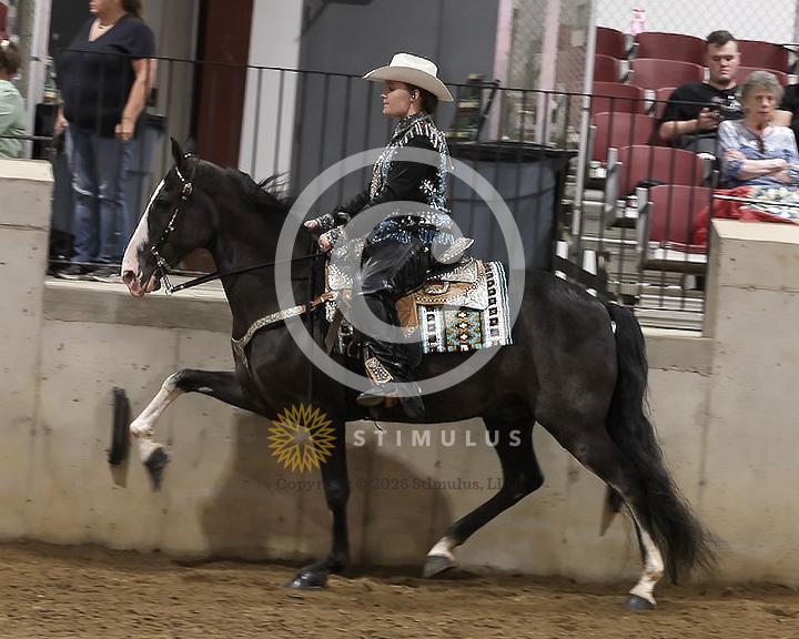 83. SSH Open Shod Stake:Class-830000s0002IMG3277.jpg