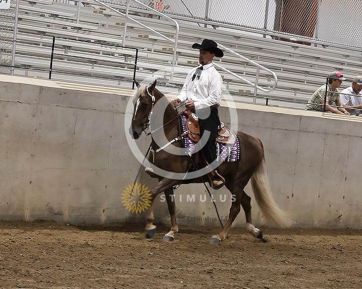 82. Pleasure Walking Horse Stake (3/8 x 3/4 shoe no tungsten):Class-820000s0001IMG3209.jpg