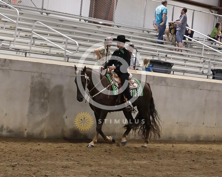 82. Pleasure Walking Horse Stake (3/8 x 3/4 shoe no tungsten):Class-820000s0002IMG3212.jpg