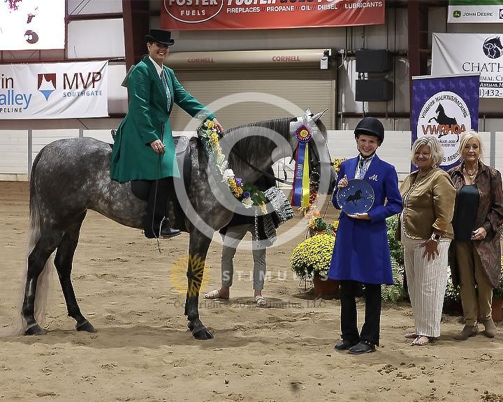 82. Pleasure Walking Horse Stake (3/8 x 3/4 shoe no tungsten):Class-820000s0007IMG3244.jpg