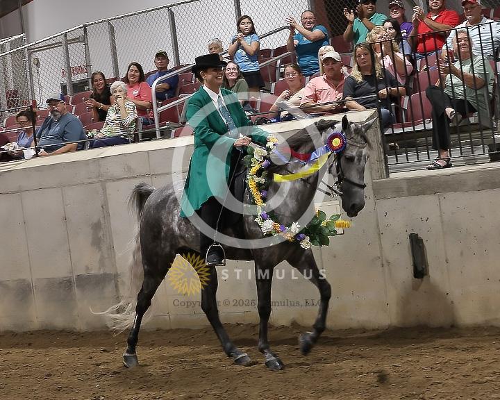 82. Pleasure Walking Horse Stake (3/8 x 3/4 shoe no tungsten)