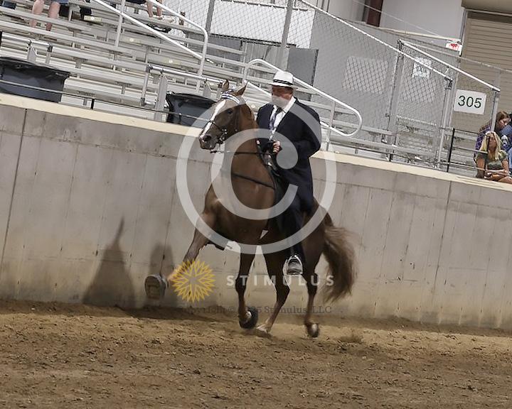 81. Open Racking Specialty Action Device:Class-810008s0002IMG3160.jpg