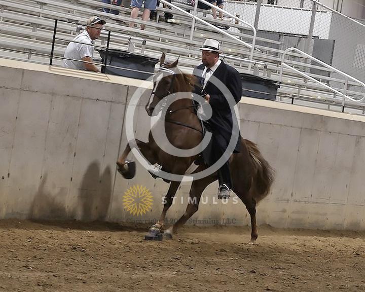 81. Open Racking Specialty Action Device:Class-810008s0003IMG3163.jpg