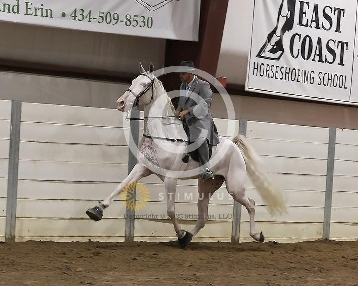 78. 4 Year Old Walking Open:Class-780011s0003IMG2998.jpg