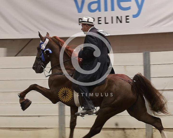 78. 4 Year Old Walking Open