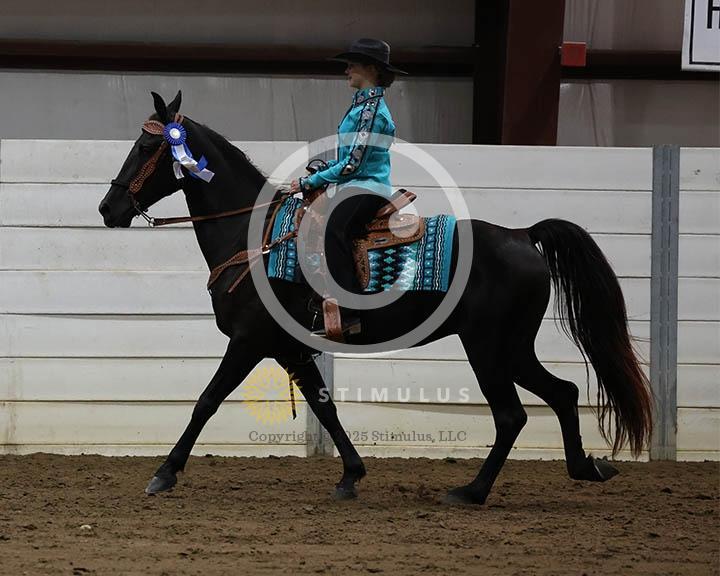  12. 5 and Under Country Pleasure Walking Amateur E/W
