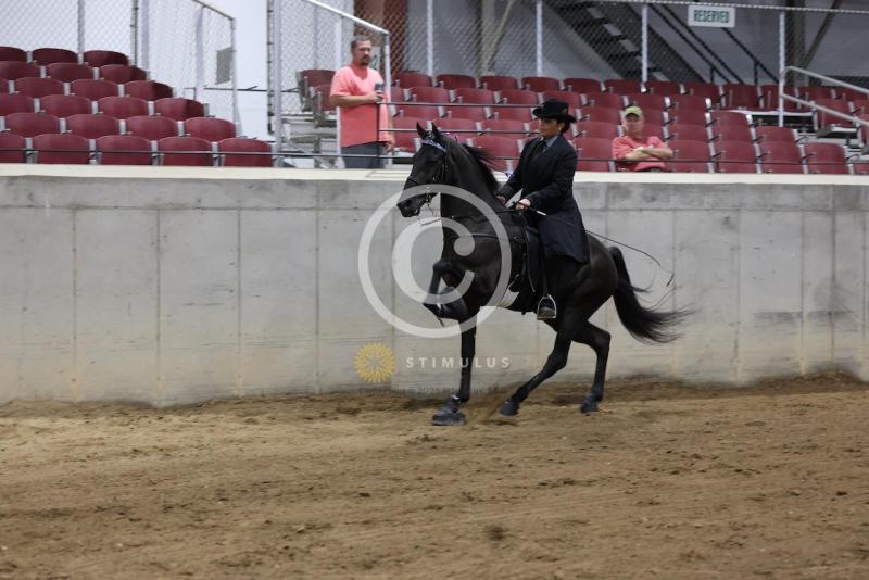 28. Keg Shod Trail Pleasure Racking E/W