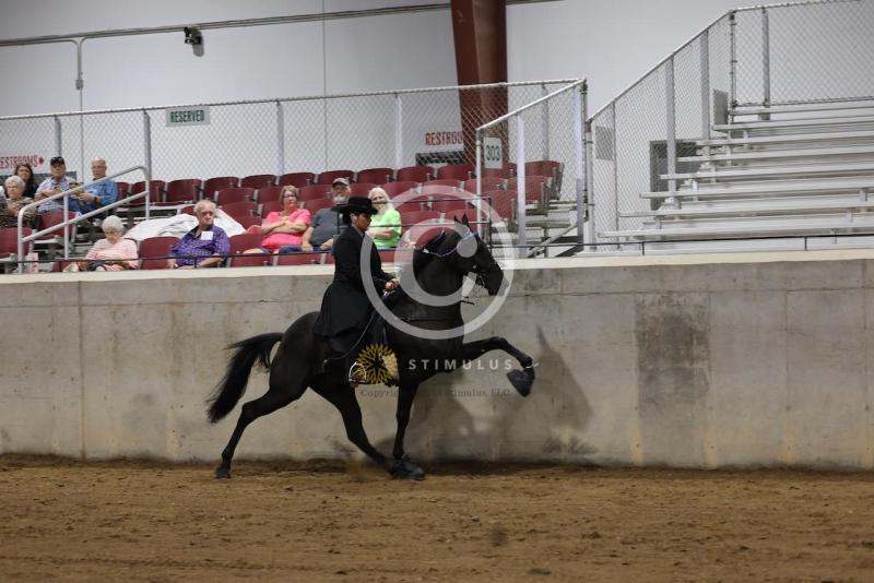 28. Keg Shod Trail Pleasure Racking E/W:IMG0569.jpeg