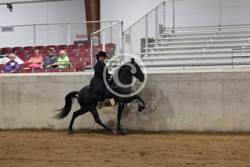 28. Keg Shod Trail Pleasure Racking E/W:IMG0571.jpeg