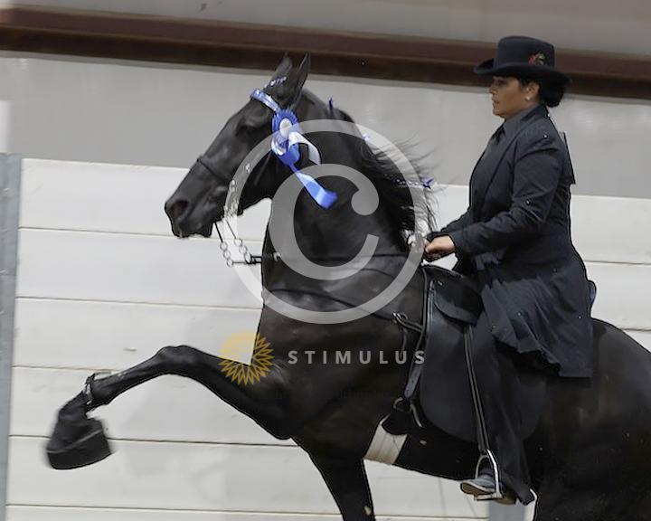 29. Specialty Action Racking  Amateur