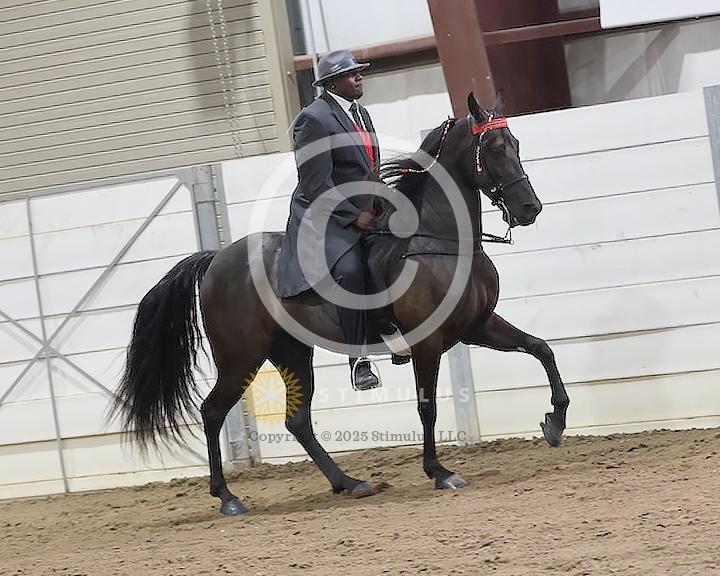 33. Lite Shod Walking E/W Amateur:class-330008s0002IMG0770.jpg