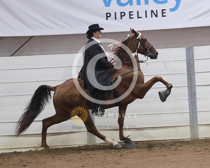 36. Specialty Action Device 2 and 3 Year Old:low-res-copclass31andup-friday-night0001s0000s0000s0004IMG0881.jpg