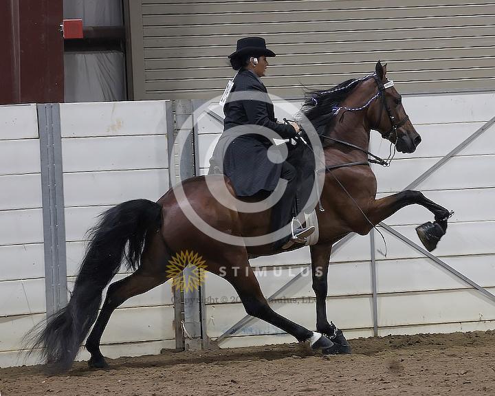 36. Specialty Action Device 2 and 3 Year Old:low-res-copclass31andup-friday-night0001s0000s0000s0005IMG0873.jpg