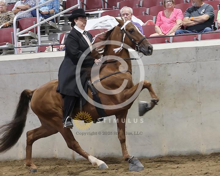 36. Specialty Action Device 2 and 3 Year Old:low-res-copclass31andup-friday-night0001s0000s0000s0006IMG0863.jpg