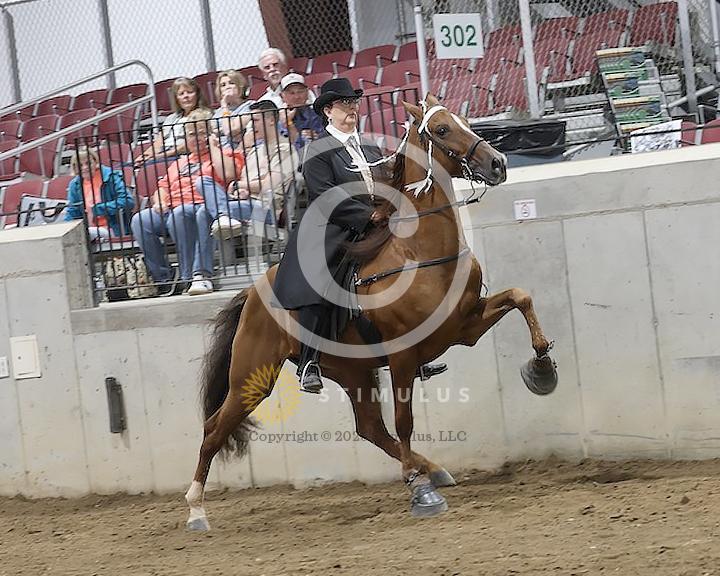 36. Specialty Action Device 2 and 3 Year Old:low-res-copclass31andup-friday-night0001s0000s0000s0008IMG0851.jpg