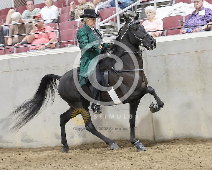 37. Park Performance Walking Amateur:class370004s0002IMG0926.jpg