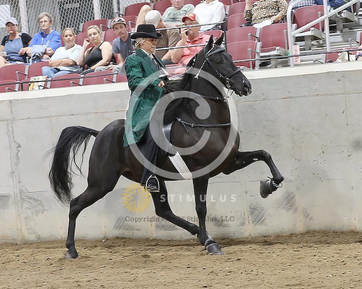 37. Park Performance Walking Amateur:class370004s0003IMG0924.jpg