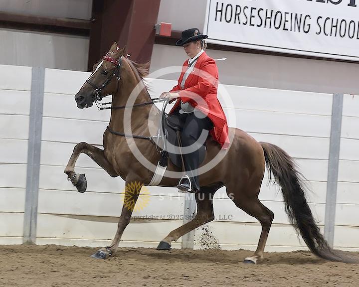 37. Park Performance Walking Amateur:class370004s0004IMG0907.jpg