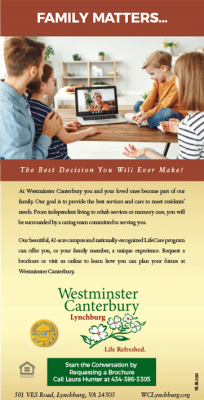Virginia Web Design Companies Agencies 0004 Layer 10