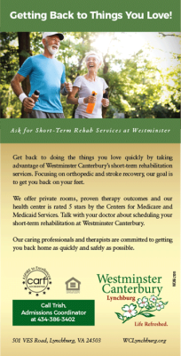 Virginia Web Design Companies Agencies 0003 Layer 11